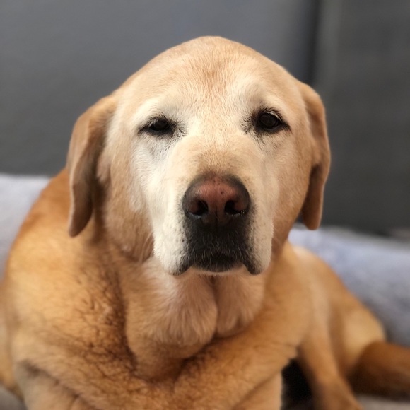 Meet your Posher, Ashley - Picture 1 of 1